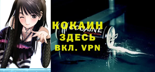 прущие грибы Арсеньев