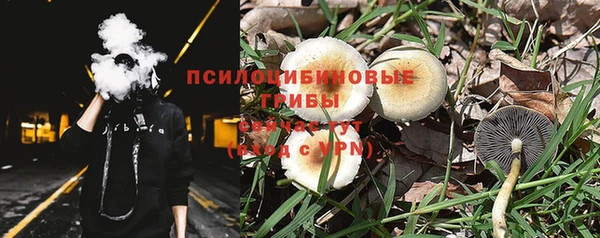 прущие грибы Арсеньев