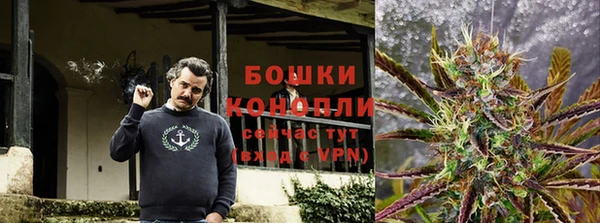 прущие крисы Аркадак